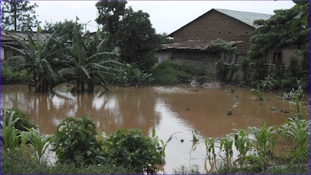 Photo of flooding in western Kenya