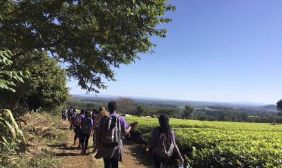 Camp participants on tea plantation field trip
