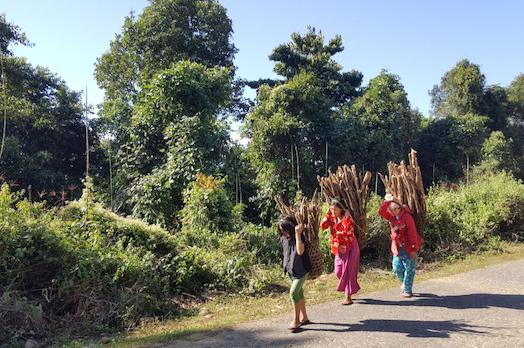  Image of three people carrying loads of wood on a road beside forest