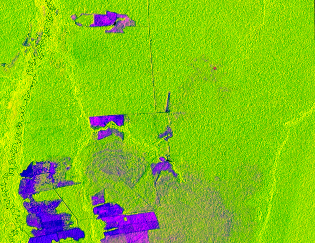 Sentinel-1 false color RGB over Brazilian Amazon