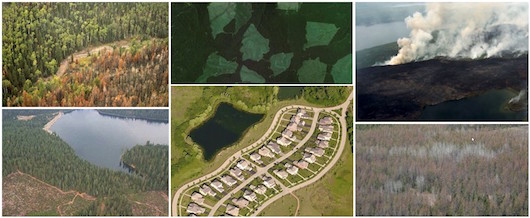 Photo collage illustrating changes in land cover