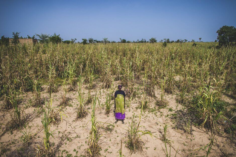 Photo by Sean Sheridan, Mercy Corps of woman standing in crop field