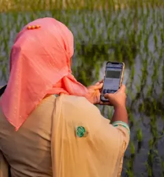 woman holding smartphone in field