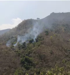 smoke from forest fire