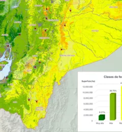 Digital map of chemical fertility of soils of continental Ecuador. Credit: Alliance Bioversity-CIAT and MAG, 2022.