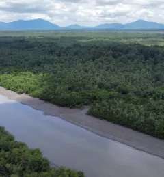 An overhead view of a river in the Manglares Churute Ecologica, Guayas Province of Ecuador.l Reserve