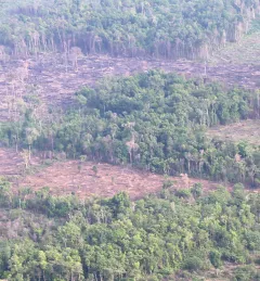 A photo from a helicopter of parts of the Cambodia forest with no trees. (https://flic.kr/p/HREqcw)