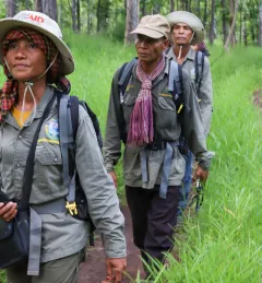 People patrolling a forest in Cambodia