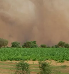 A huge sand storm approaching in Senegal