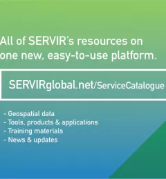 Service Catalog launch text