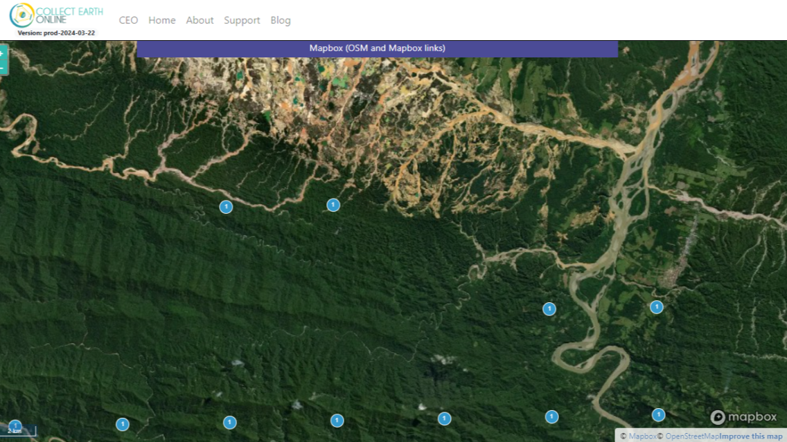 screenshot of a satellite image of the Peruvian Amazon taken from Collect Earth Online 