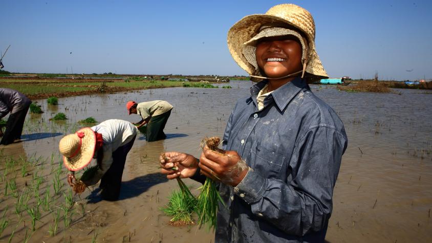 A woman in a rice field in Vietnam smiling, with other farmers behind her