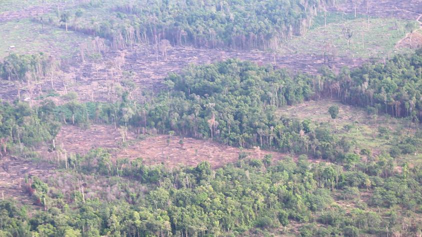 A photo from a helicopter of parts of the Cambodia forest with no trees. (https://flic.kr/p/HREqcw)