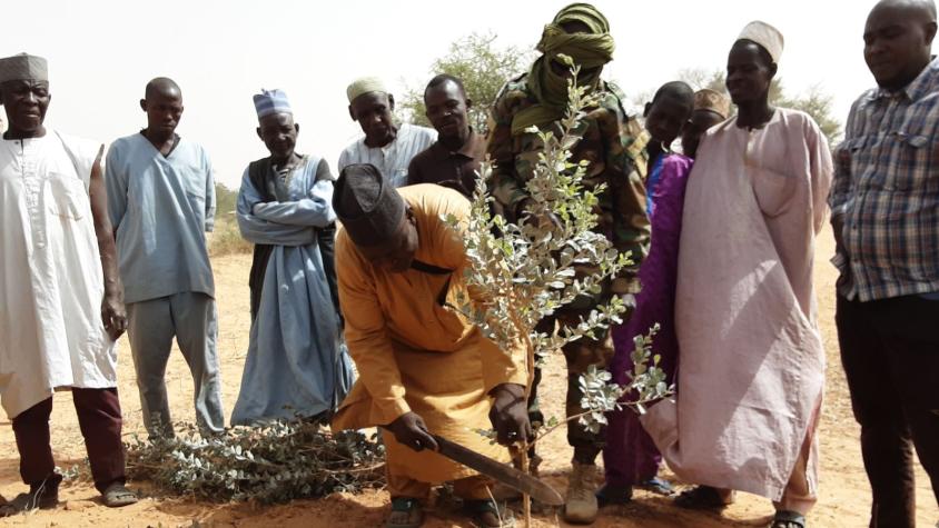 Men planting a tree in Niger
