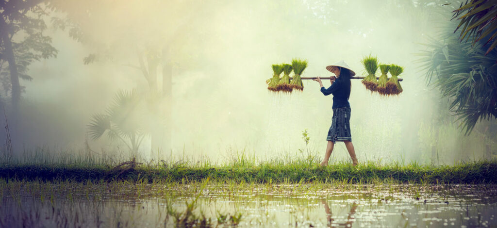 SERVIR Asia Agriculture